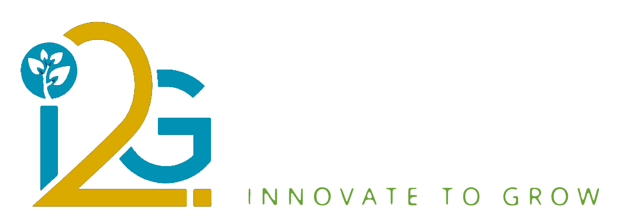 I2G Logo